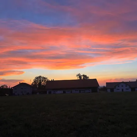Cheval Soleil *