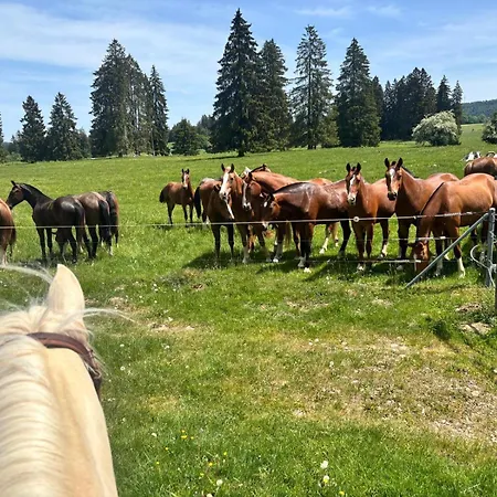 Κατάλυμα σε φάρμα Cheval Soleil